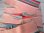 画像2: ピンク色希少！40's〜ネイティブアメリカ　チマヨラグ Chimayo本物