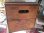 画像3: ◆BUDWEISER　BEER USA製ヴィンテージ木箱　ウッドボックス＊LA 