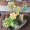 画像5: 希少品 ！ アメリカアンティーク 70's 花の樹脂置物 ヴィンテージ インテリア ブロカント蚤の市