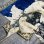 画像6: 希少芸術品！BIGサイズ！ヴィンテージラグ　白熊の親子の絨毯　イタリア雑貨ラグ/北極フランス動物ペルシャキリム家具イギリスアンティーク