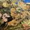 画像4: 希少芸術品！BIGサイズ！ヴィンテージラグ　ライオンの親子の絨毯　イタリア雑貨ラグ/フランス英国ペルシャキリム家具イギリスアンティーク