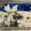 画像1: 希少芸術品！BIGサイズ！ヴィンテージラグ　白熊の親子の絨毯　イタリア雑貨ラグ/北極フランス動物ペルシャキリム家具イギリスアンティーク (1)